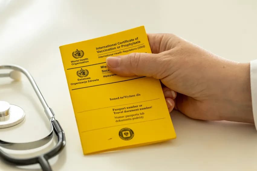 Yellow Fever Certificate Explained