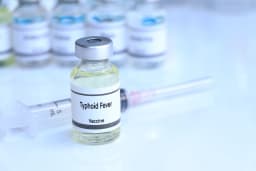 Typhoid